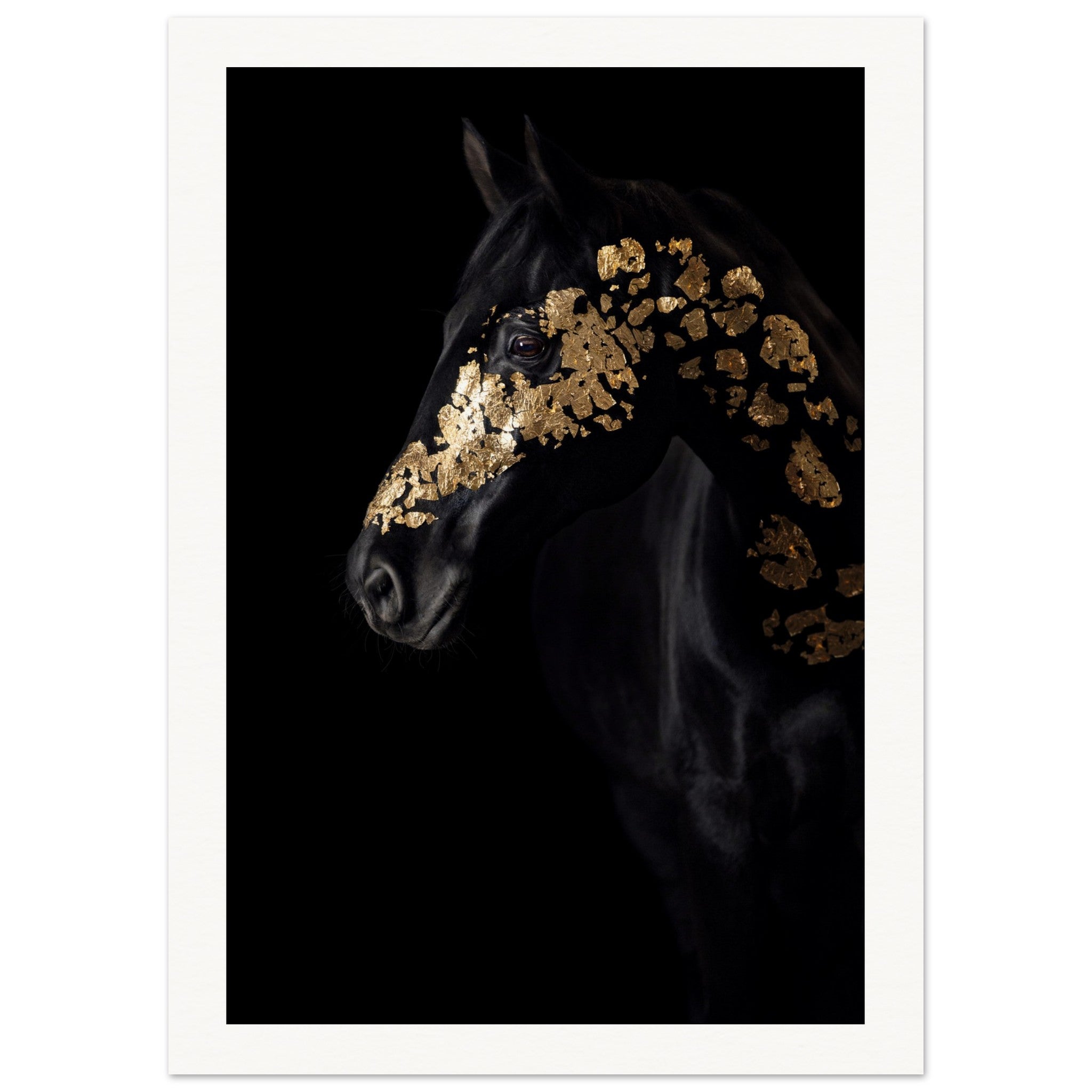 6c3bbed2-9fce-4653-a93b-ad7dd88bc8cc