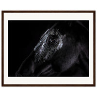 6c5966ea-505d-4006-beac-90a802c7dc36