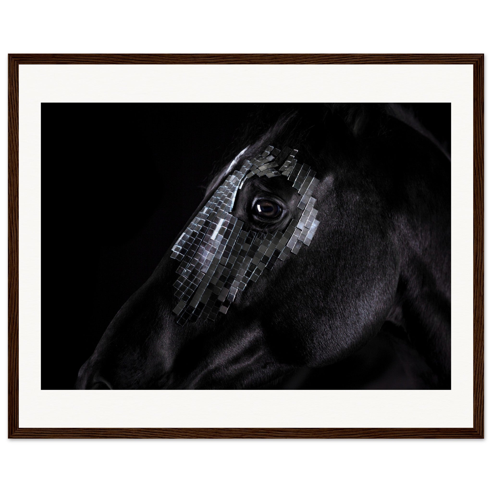 6c5966ea-505d-4006-beac-90a802c7dc36