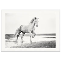 6c70d974-e1fc-4b7a-8644-c4cc11da7ed6