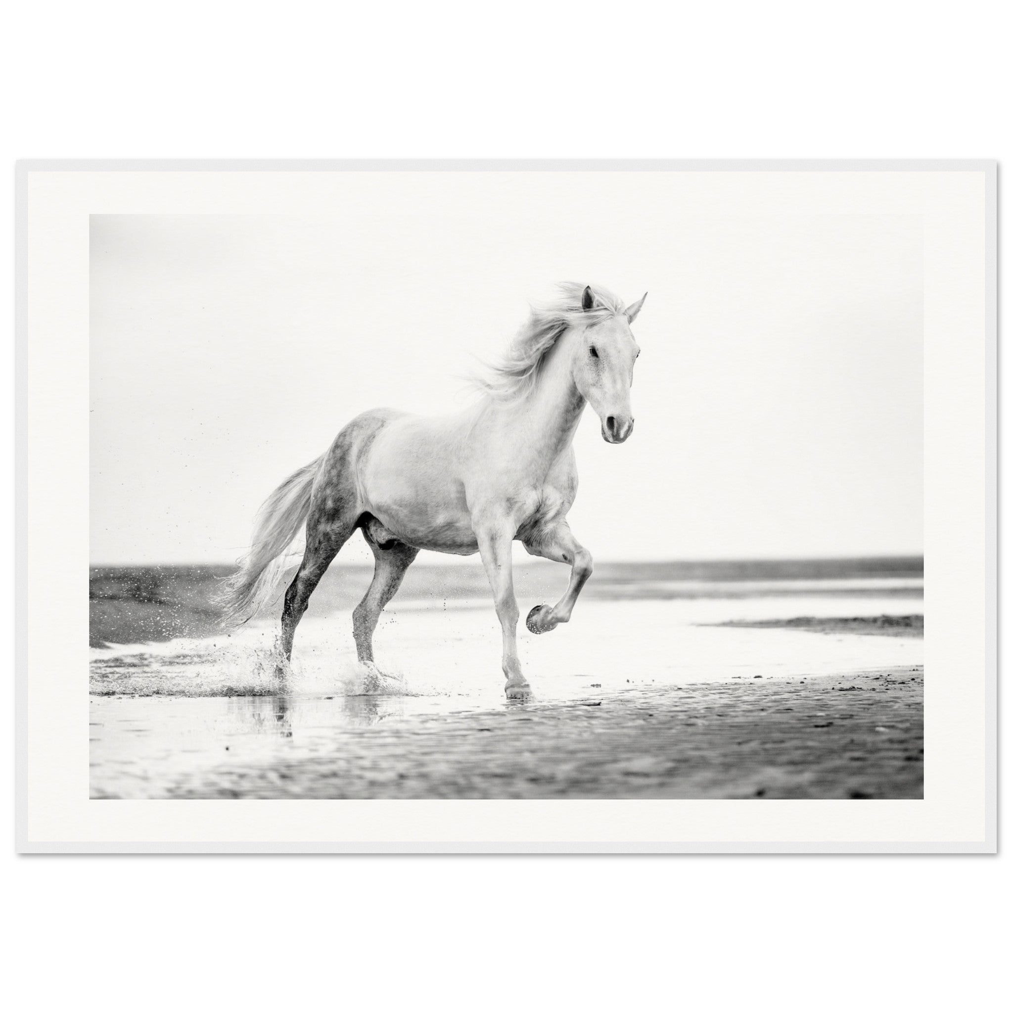 6c70d974-e1fc-4b7a-8644-c4cc11da7ed6