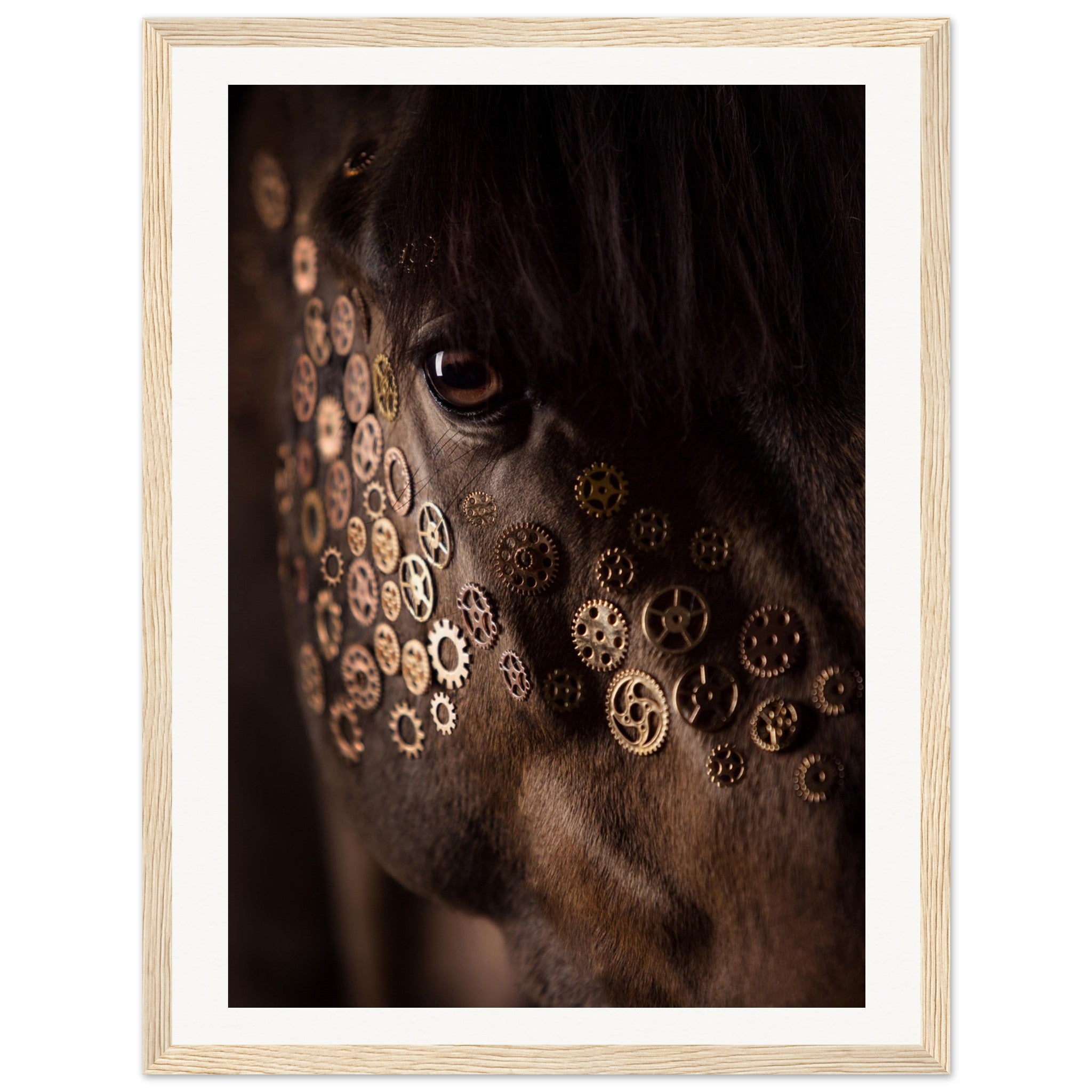 6c89ac72-120e-4c0e-b5e0-0be07f285214