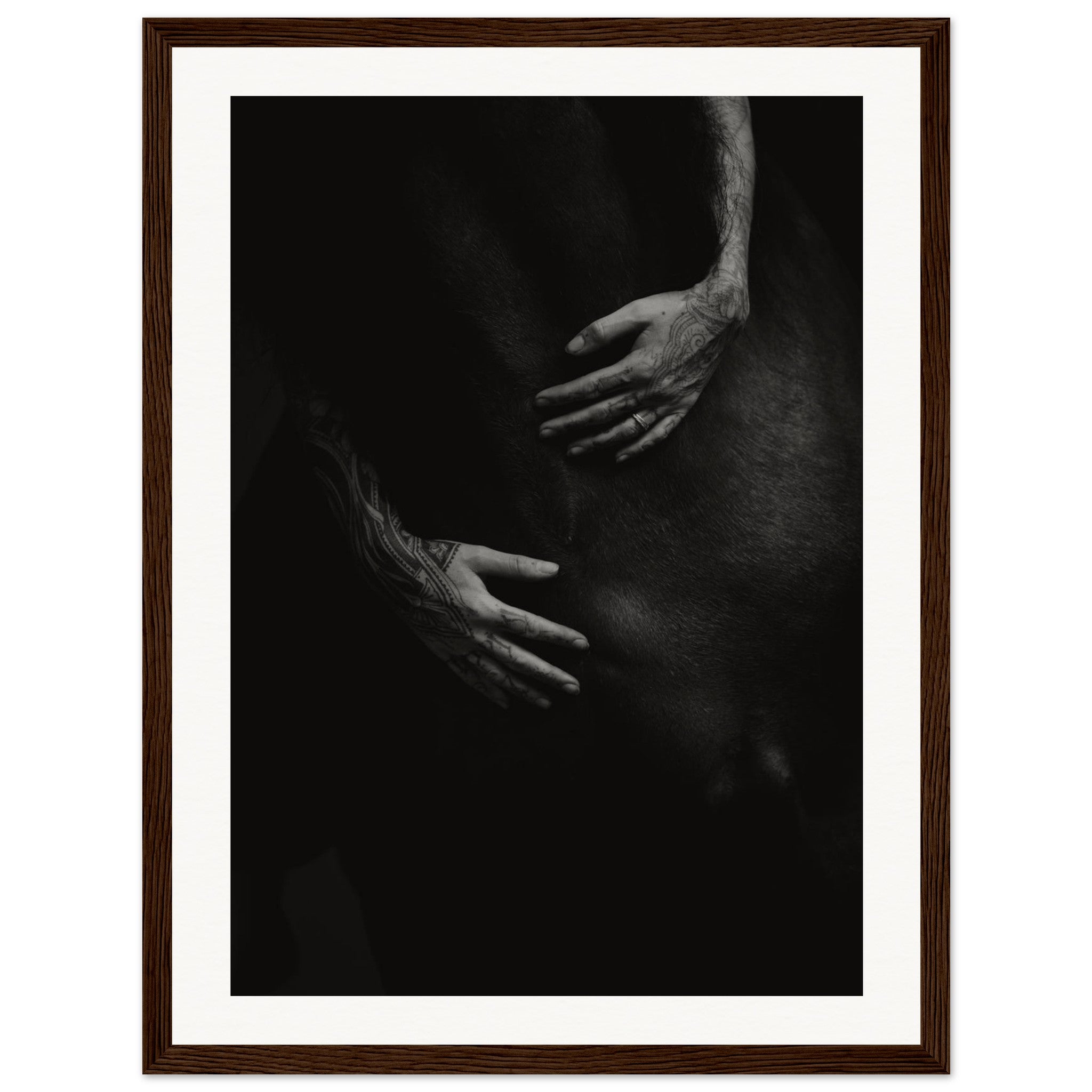 6c8a32bb-50fe-4b89-9418-234ca5165038