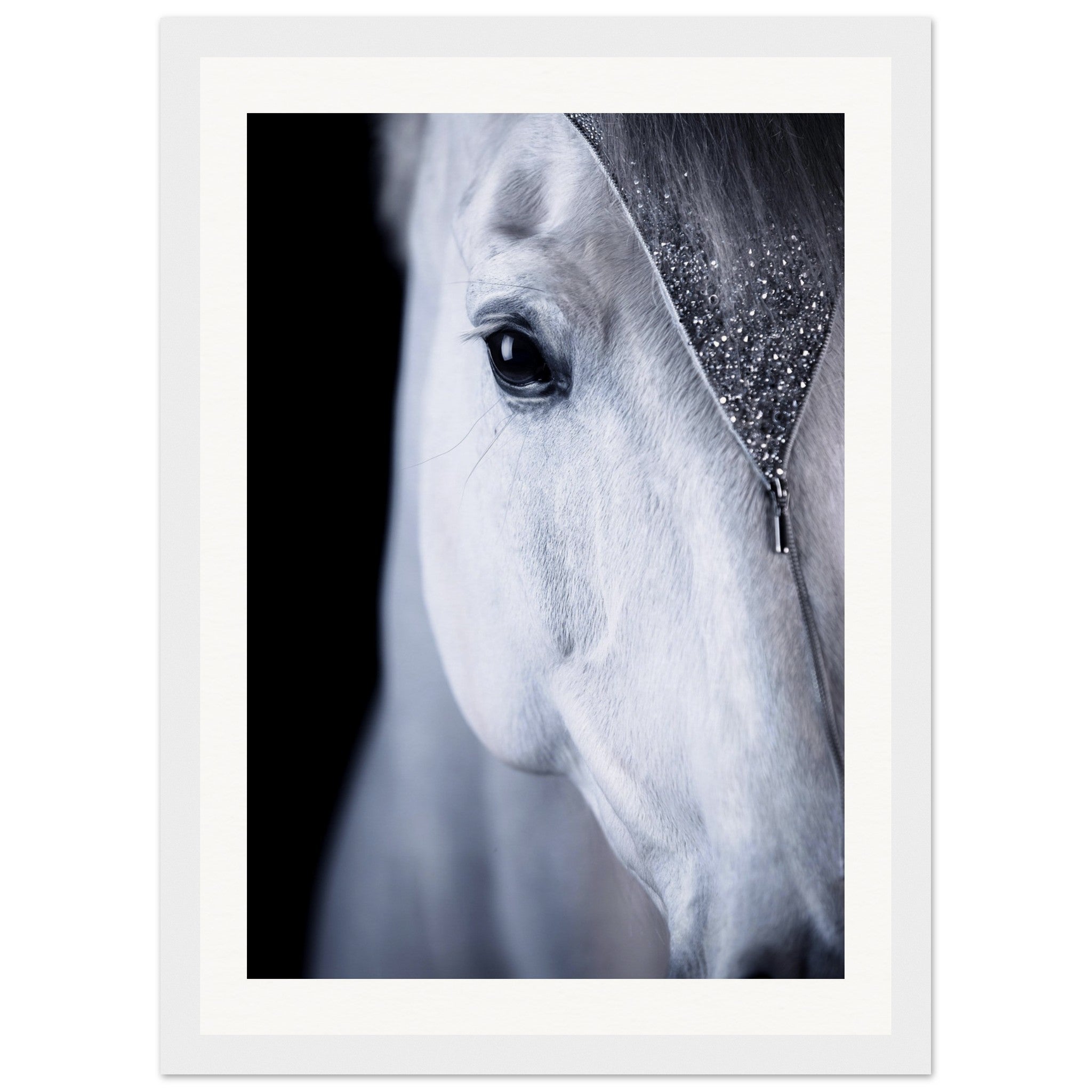 6cb12695-a03d-4cd9-81ab-693200f24fe3