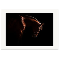 6ccece22-fb98-41ff-a179-8e3445cb8340