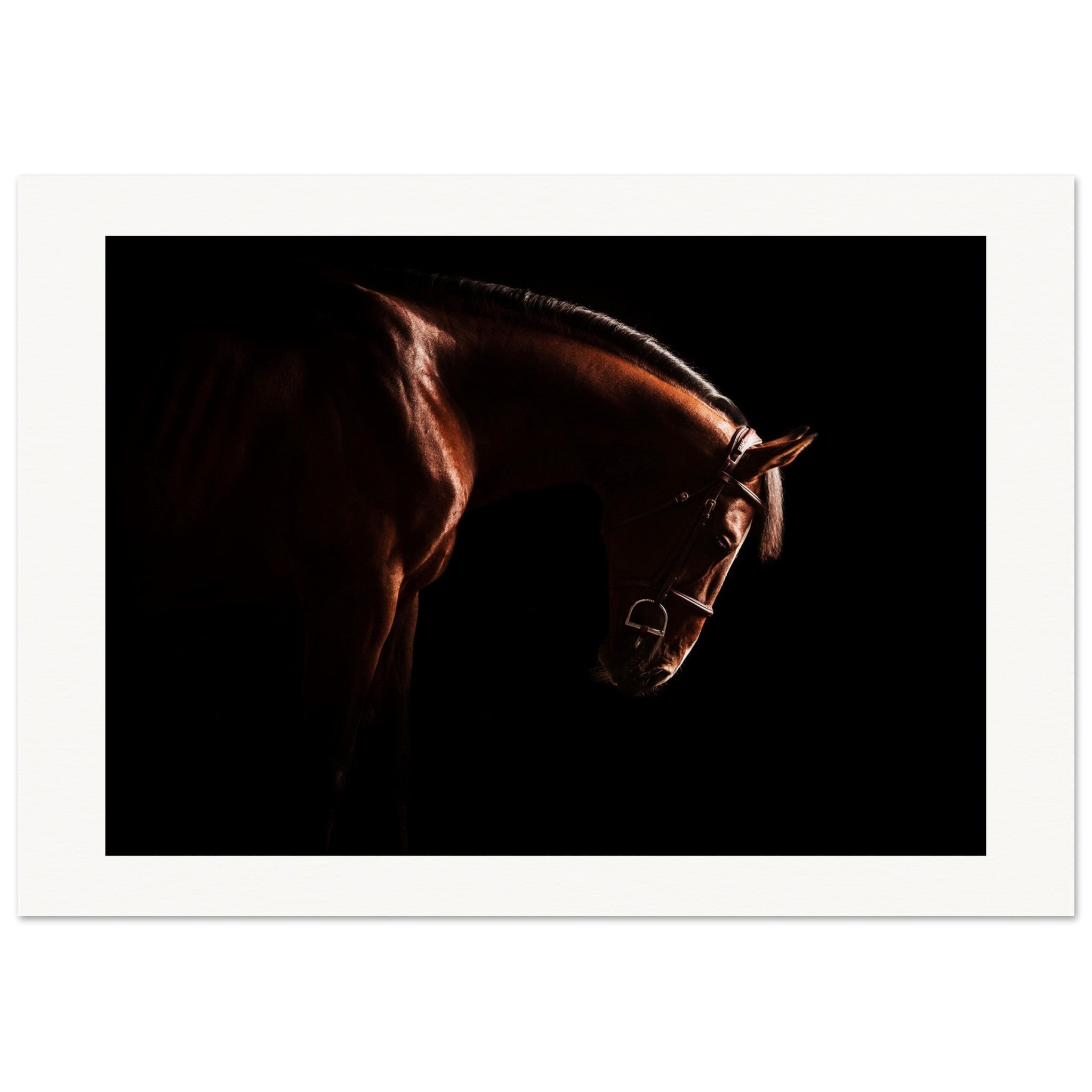 6ccece22-fb98-41ff-a179-8e3445cb8340