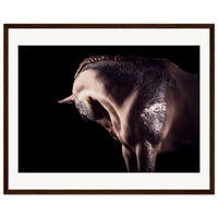 6cd66f3c-7c51-4f70-9a50-0fca07b960a9