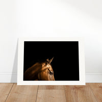 6cfa6230-7a2d-4722-af44-525fd046e9b6