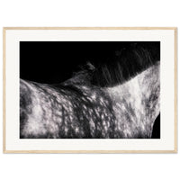 6cfeebdf-f51f-44d2-b4a2-5611dfd62e77