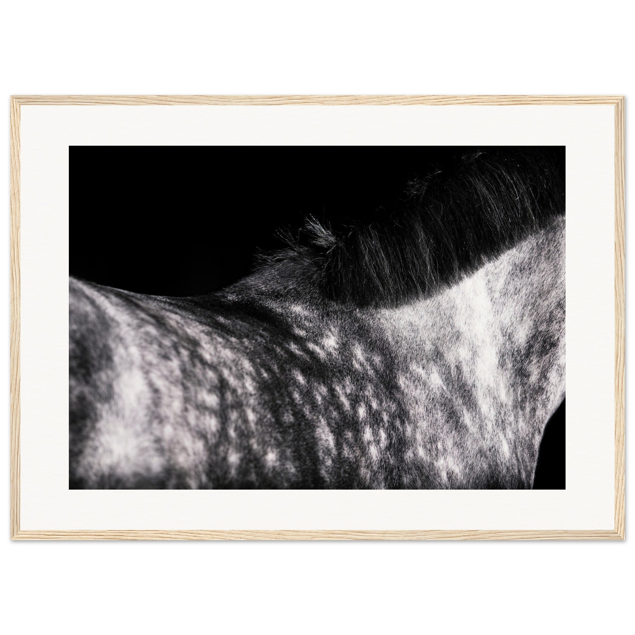 6cfeebdf-f51f-44d2-b4a2-5611dfd62e77