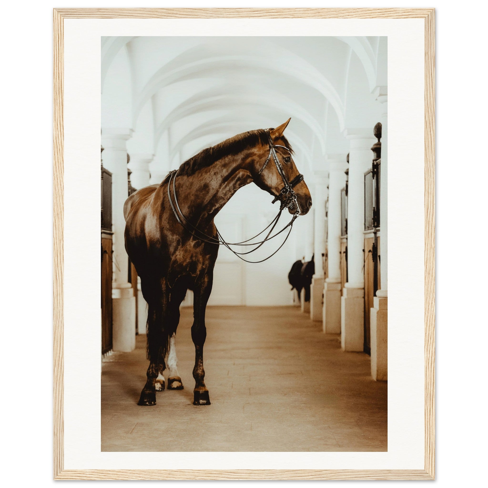 6d375820-0f02-420c-917a-073a5342ee89