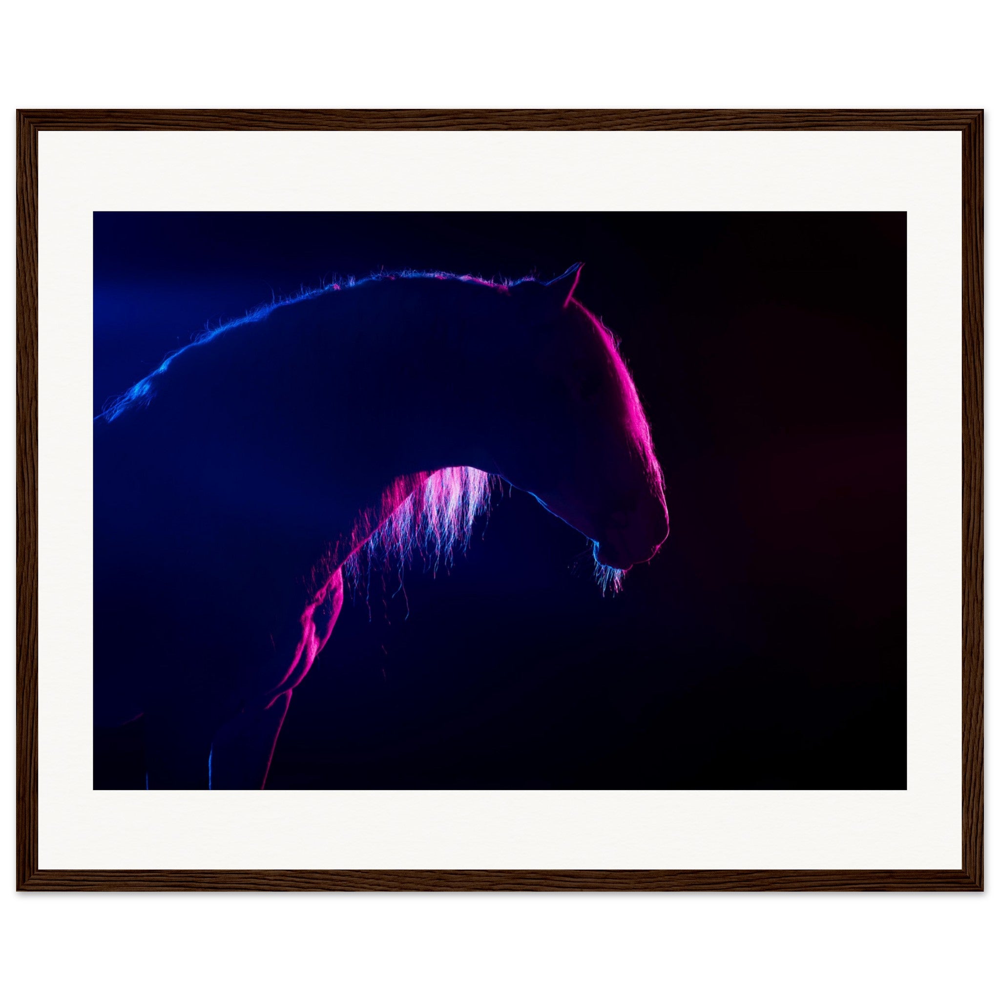 6d3aa6e0-38b8-4ff7-9b4e-e9dde067c49e