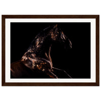 6d3f461f-a827-4616-af8d-6e44067ad9a9