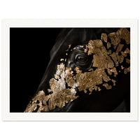 6d4424aa-8981-4236-9d8f-e55e1da625bd