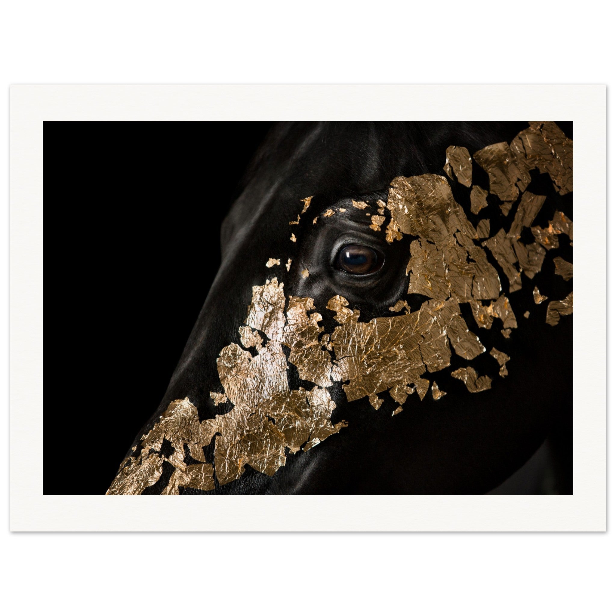 6d4424aa-8981-4236-9d8f-e55e1da625bd