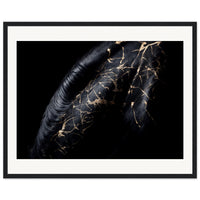 6db3d78b-0002-439b-a064-ee44a43a3a30