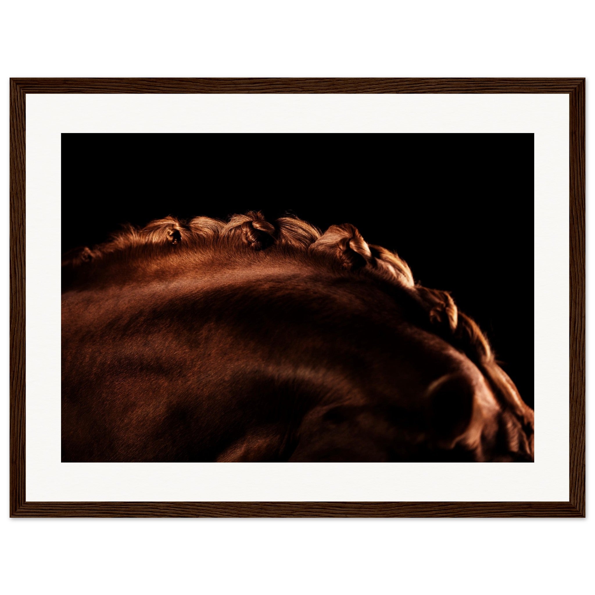 6dc6afec-9687-4b19-bb49-736aa9395059