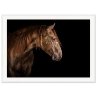 6e359fbd-feaf-49bc-ac31-9166b0ed461e