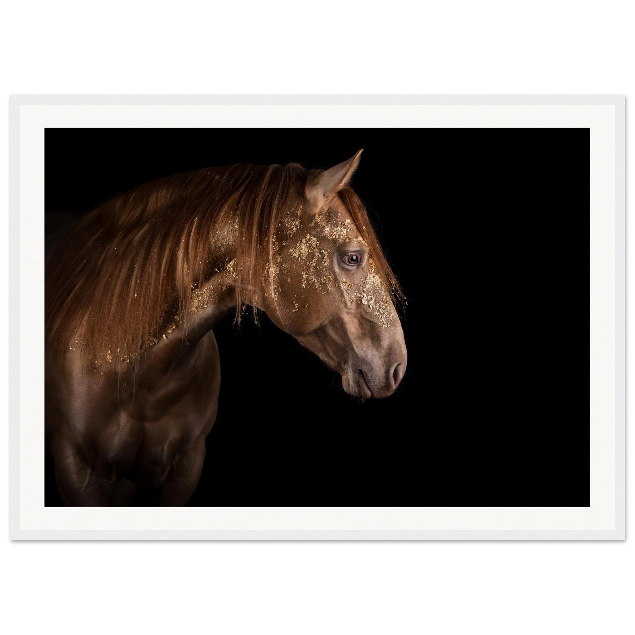 6e359fbd-feaf-49bc-ac31-9166b0ed461e