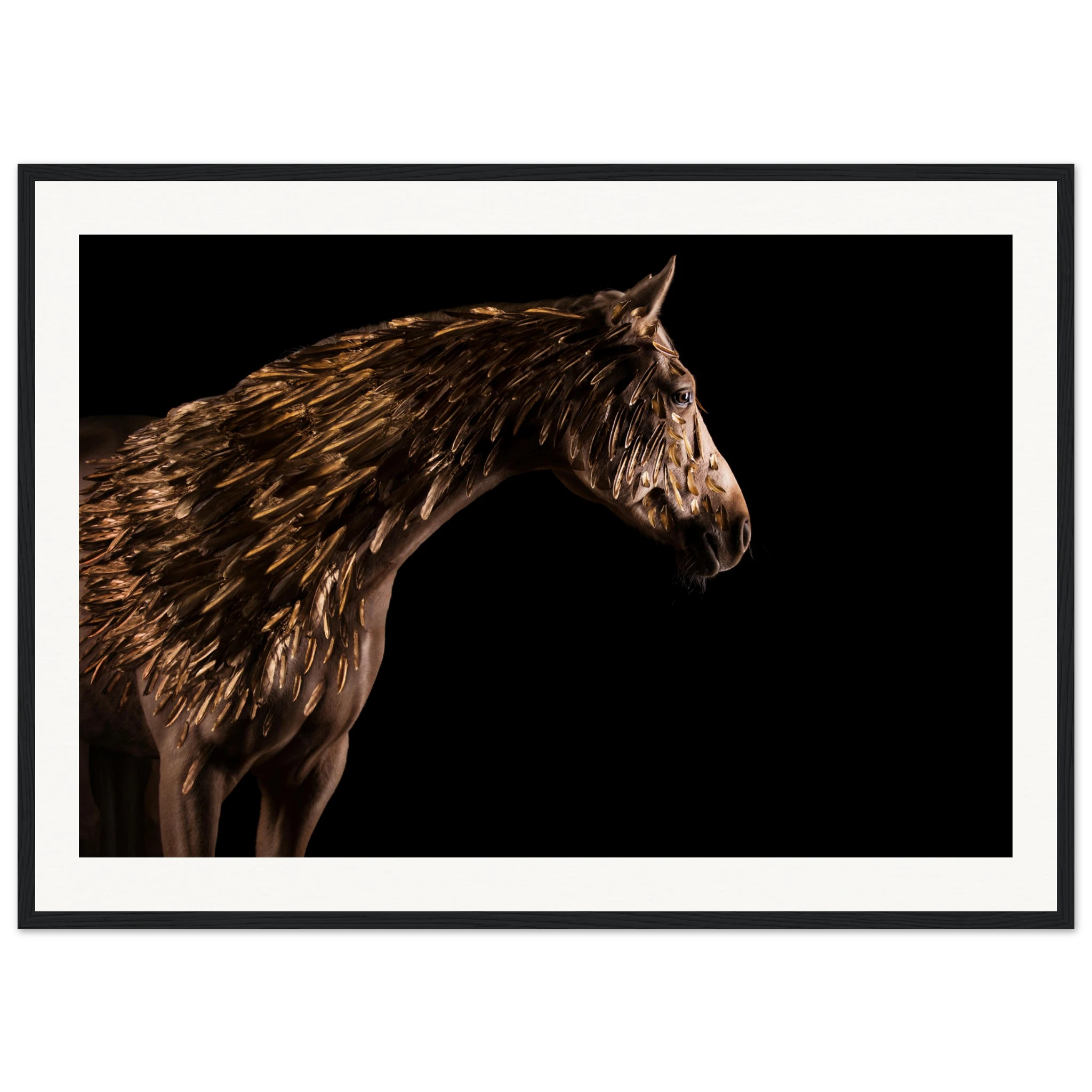 6e395993-980d-400e-93ed-7b22b39542ea