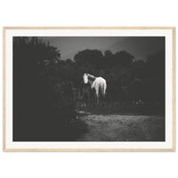 6e7ccea0-b3a5-414b-ab26-4e9d876af8af