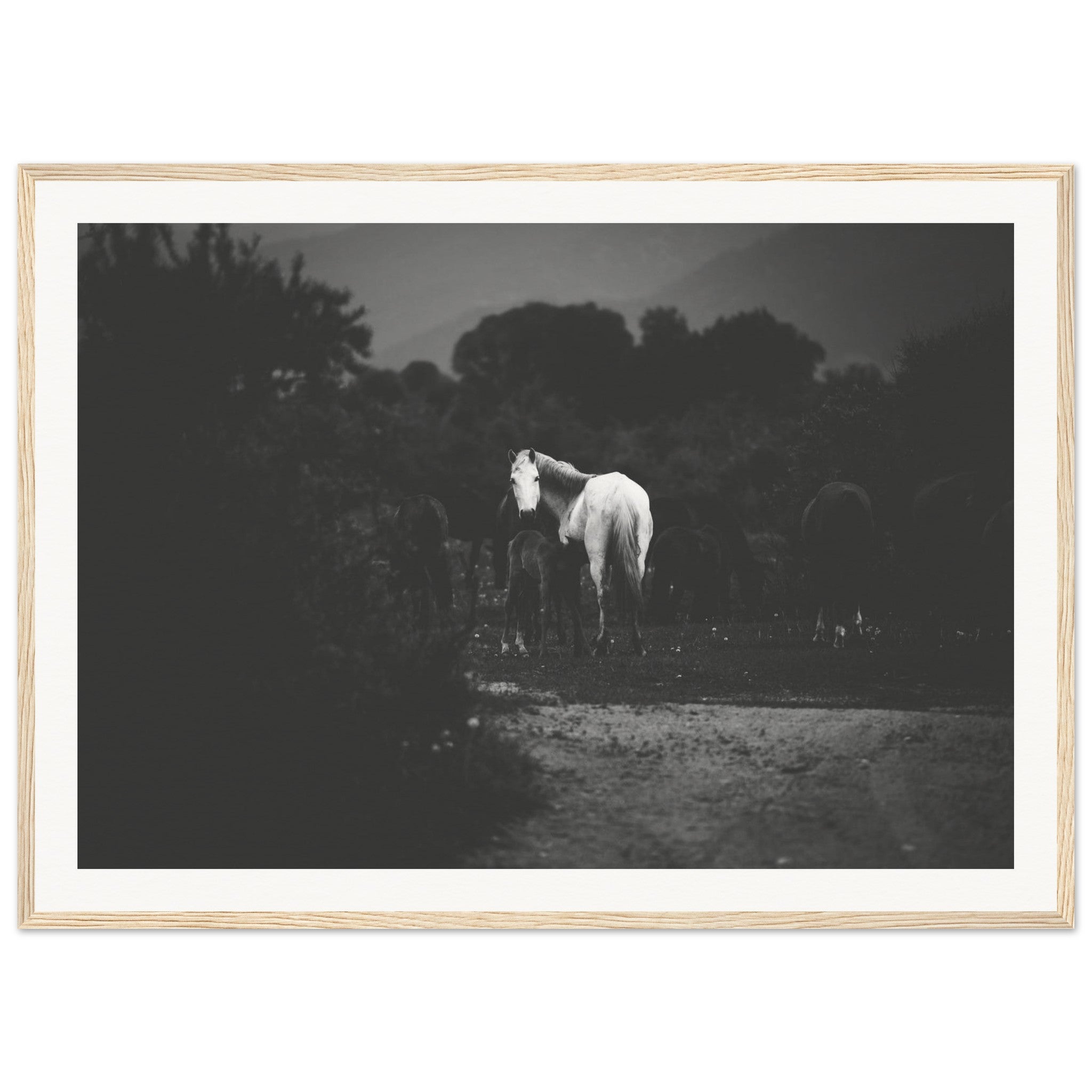 6e7ccea0-b3a5-414b-ab26-4e9d876af8af