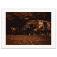 6e8d5e77-fc8a-4a30-bef5-21cef0861e98