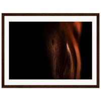 6ee1e86c-4a61-4309-b3e3-ecfaee9366d2