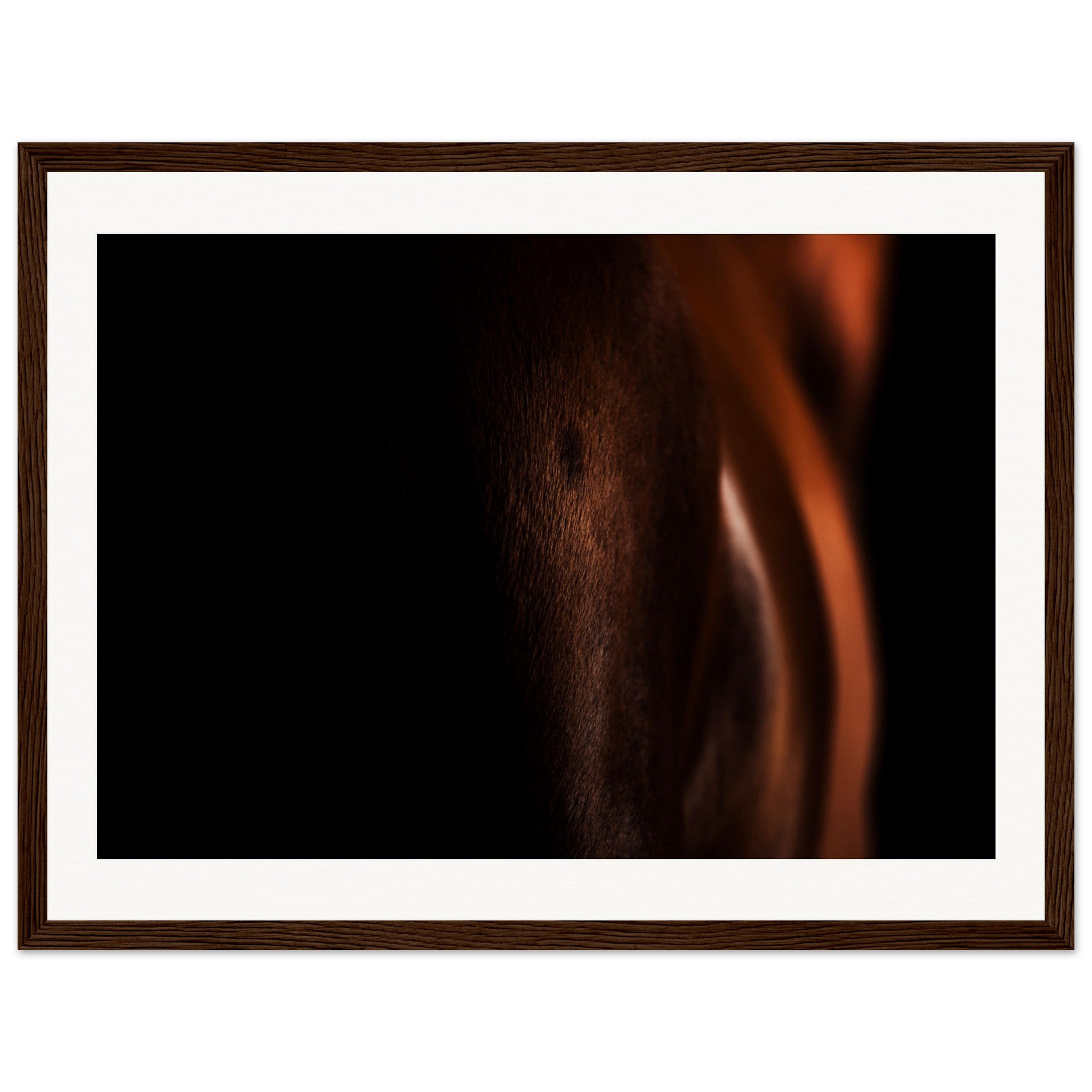 6ee1e86c-4a61-4309-b3e3-ecfaee9366d2