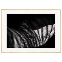 6ef705fc-4fa1-4812-aeaa-5500ee9587f7