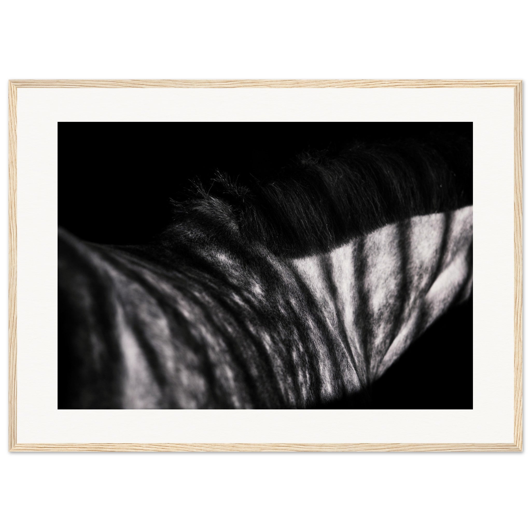 6ef705fc-4fa1-4812-aeaa-5500ee9587f7