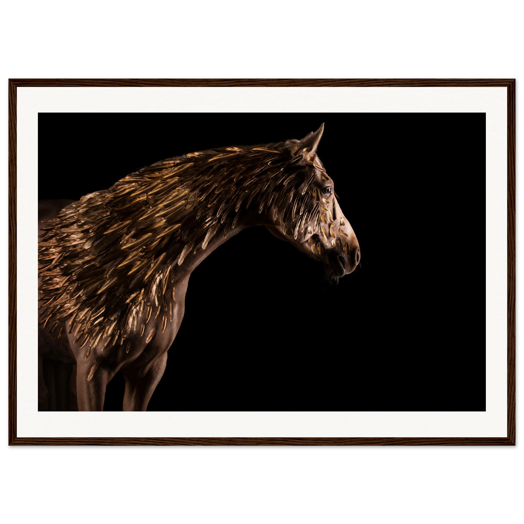 6f3a7182-9519-41ec-815d-49a9399ed8a5