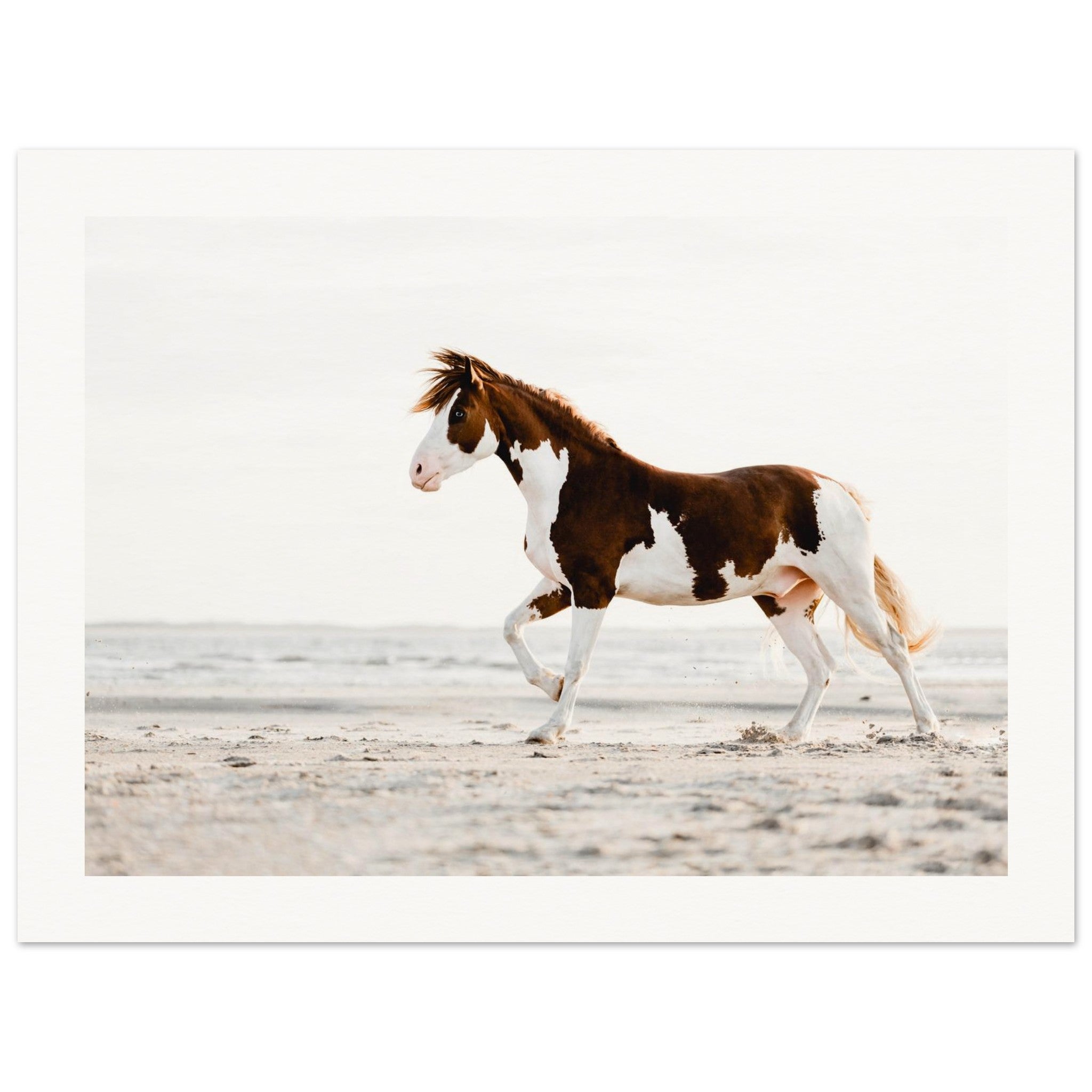 6f9e37f8-2120-4e11-a062-6509b963d2b7