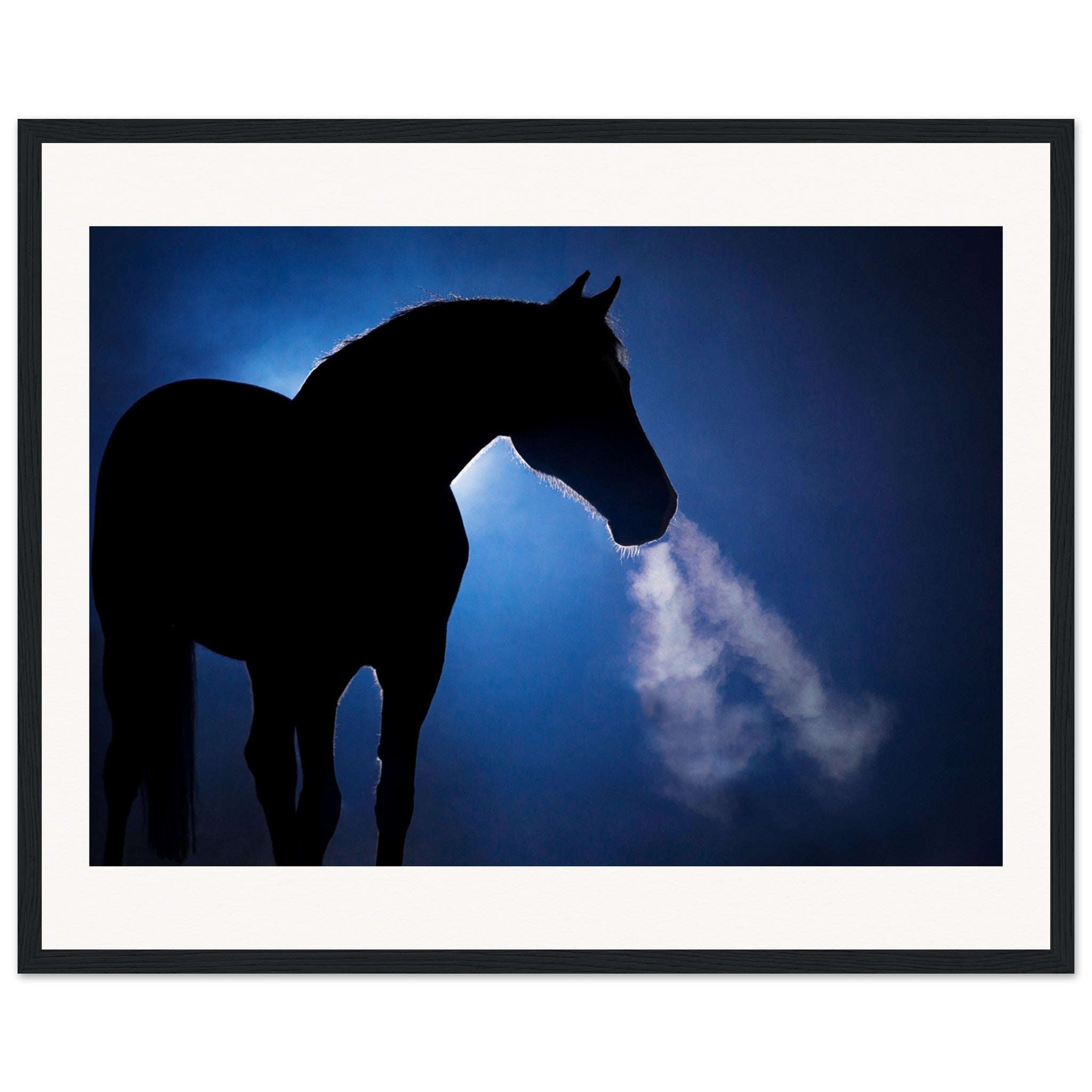 703fb244-dc69-4396-95c3-45ec36b2d689