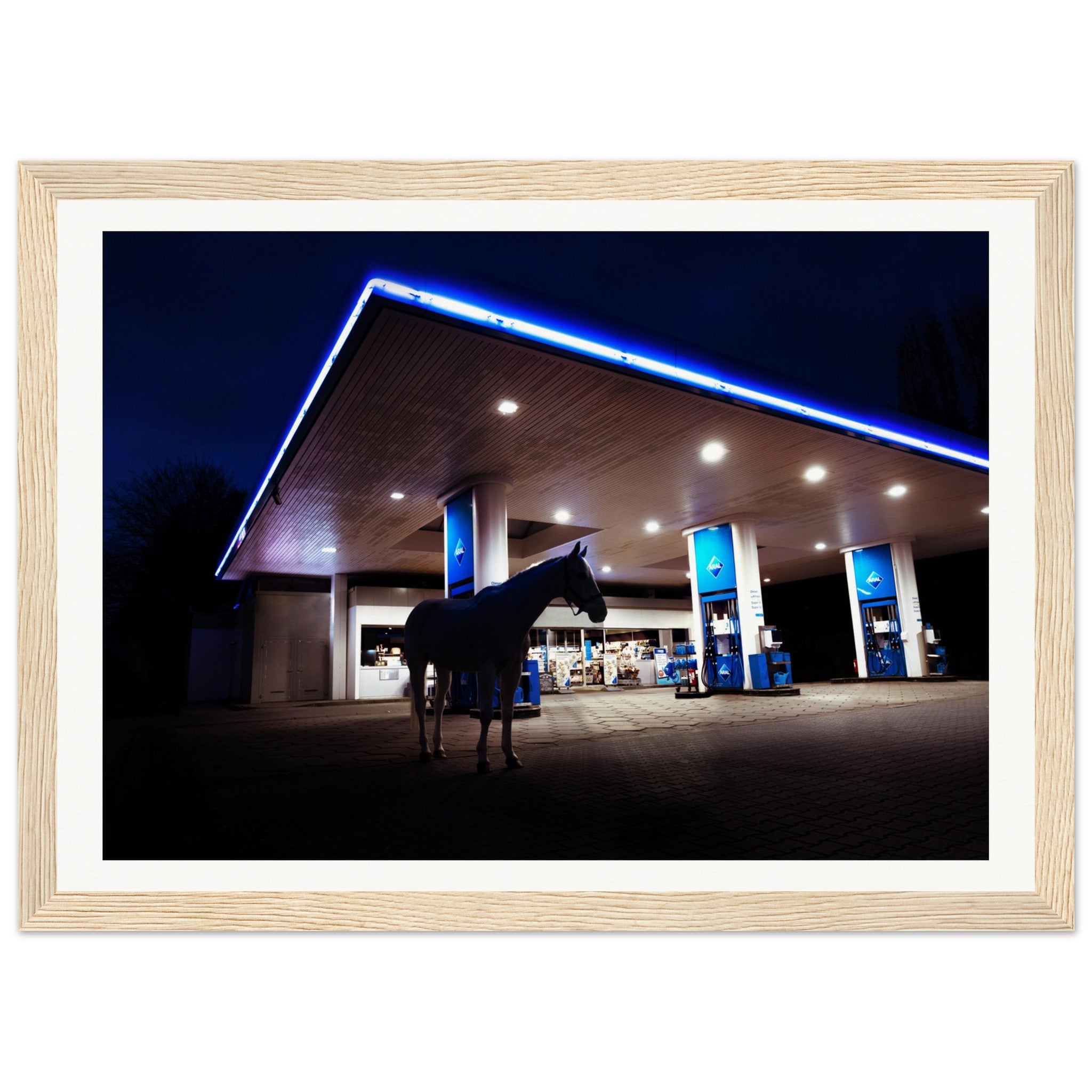 709a1eca-176a-4368-9332-493f7c2ab9bf