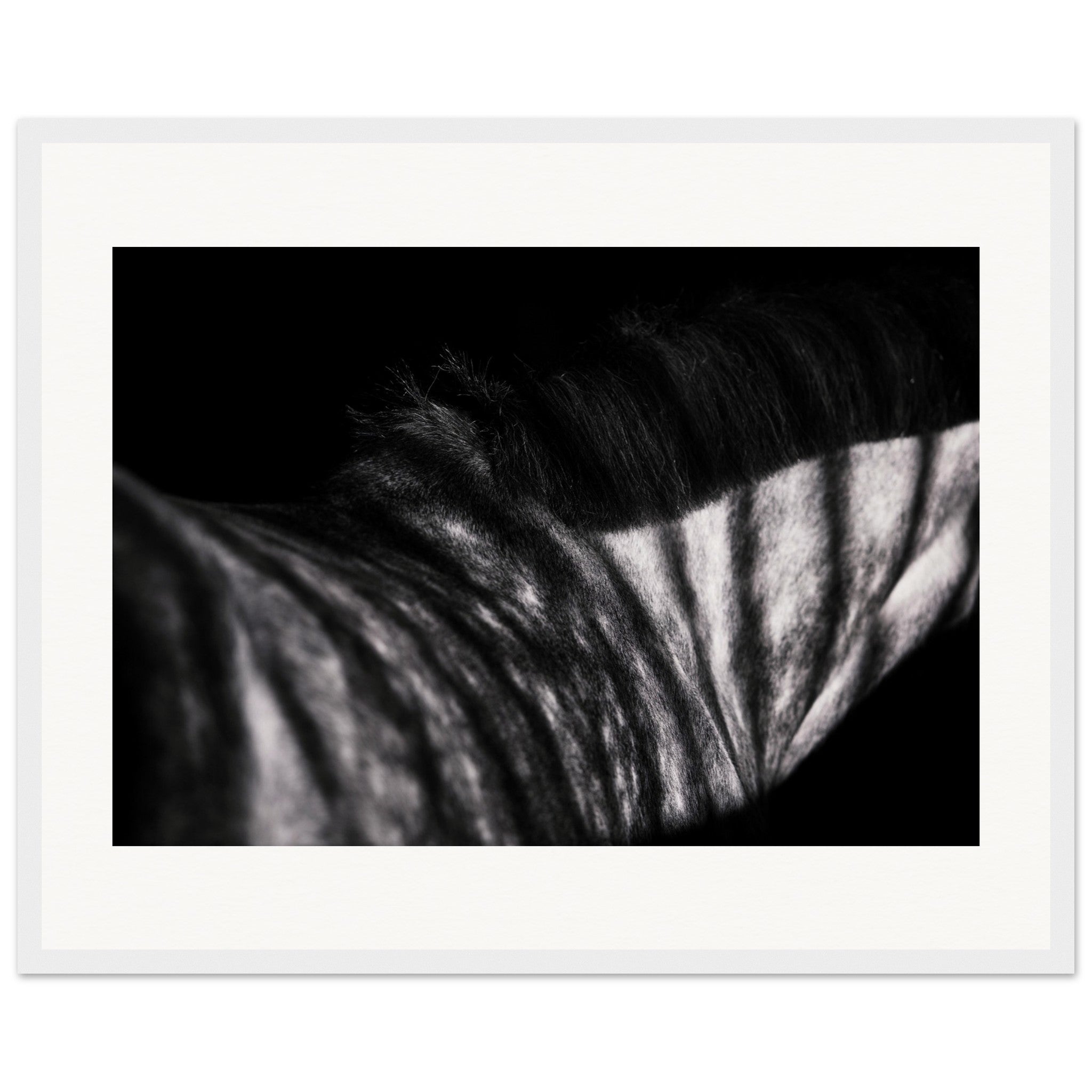 71158d87-716d-49bf-8122-989b6acc3822