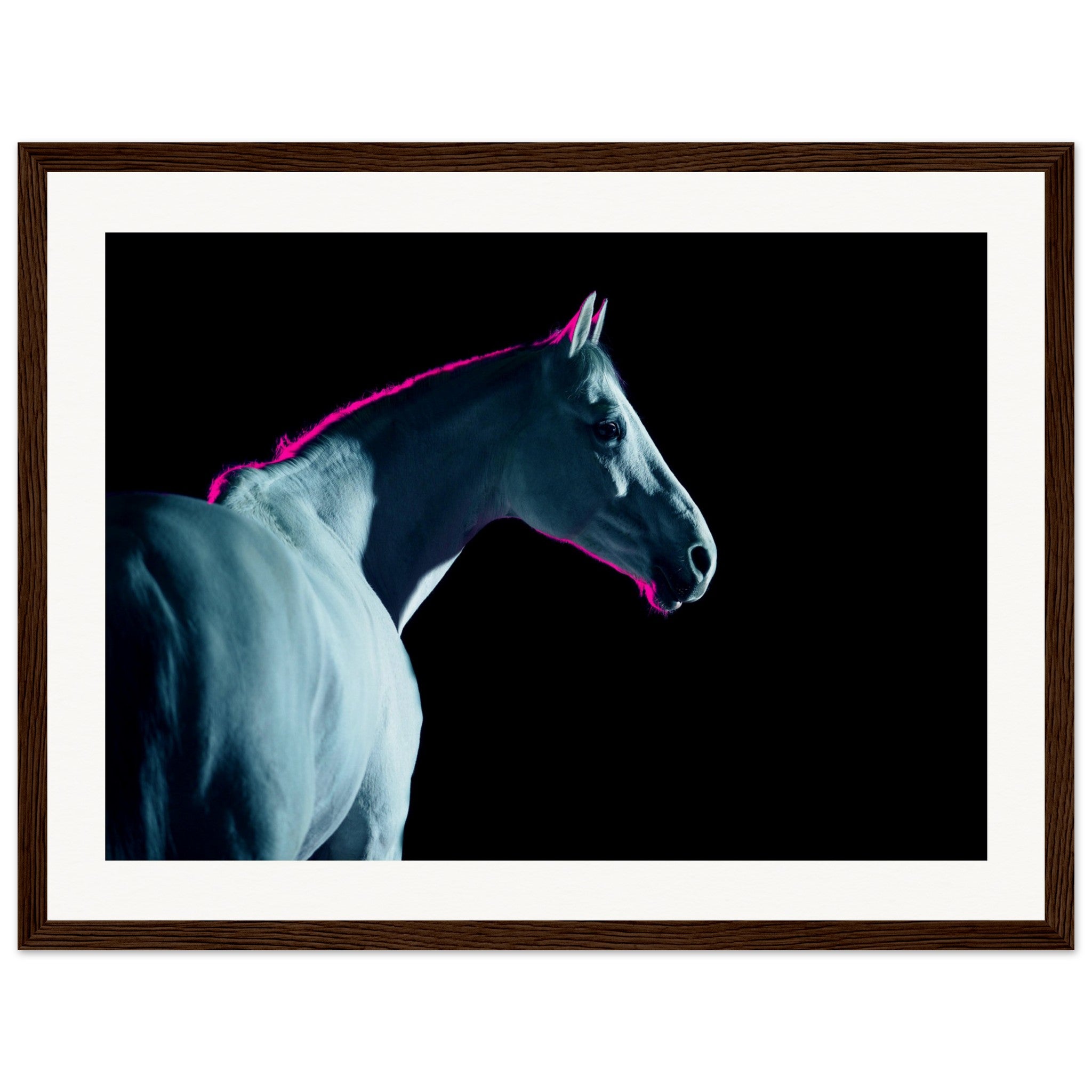 7137f71b-6dfb-443c-a6af-c46cadd1899b