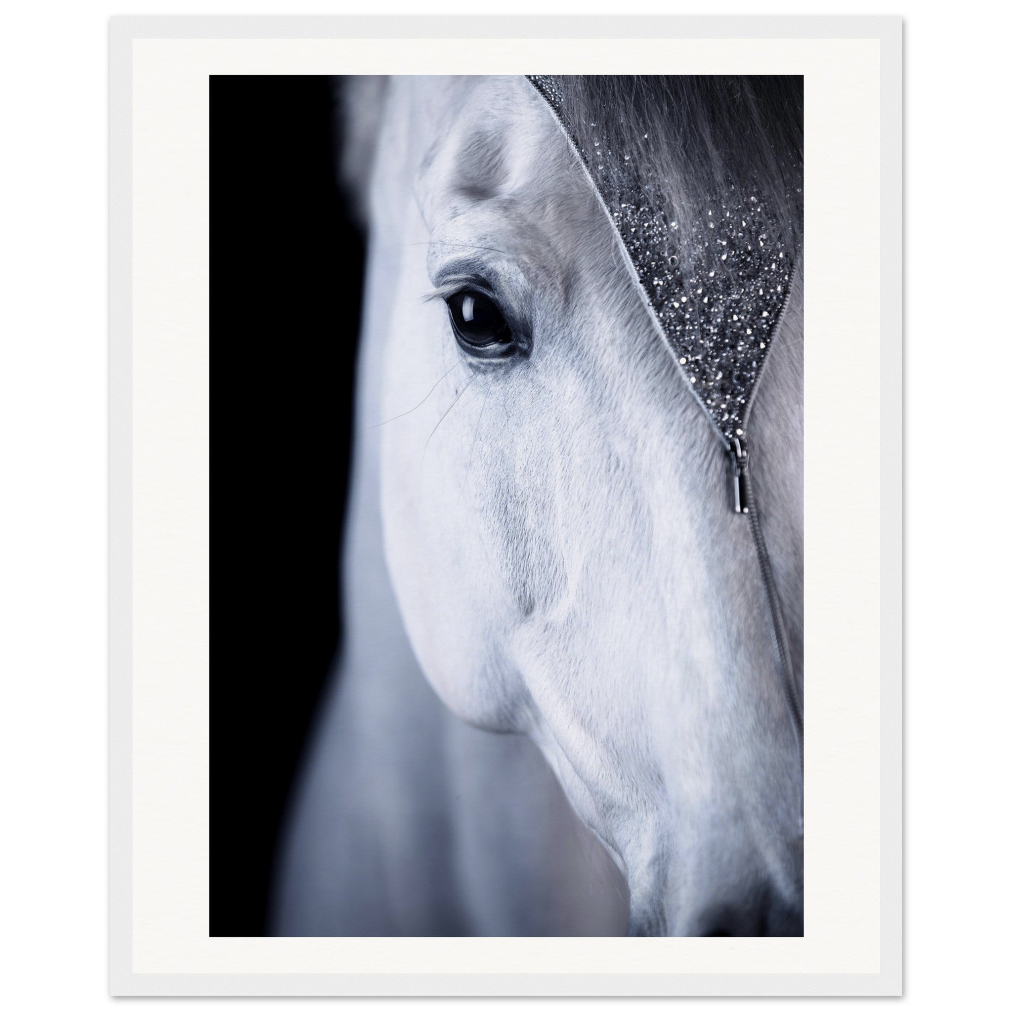 714b5552-22d6-4bb4-a9f8-fc688049ce6f