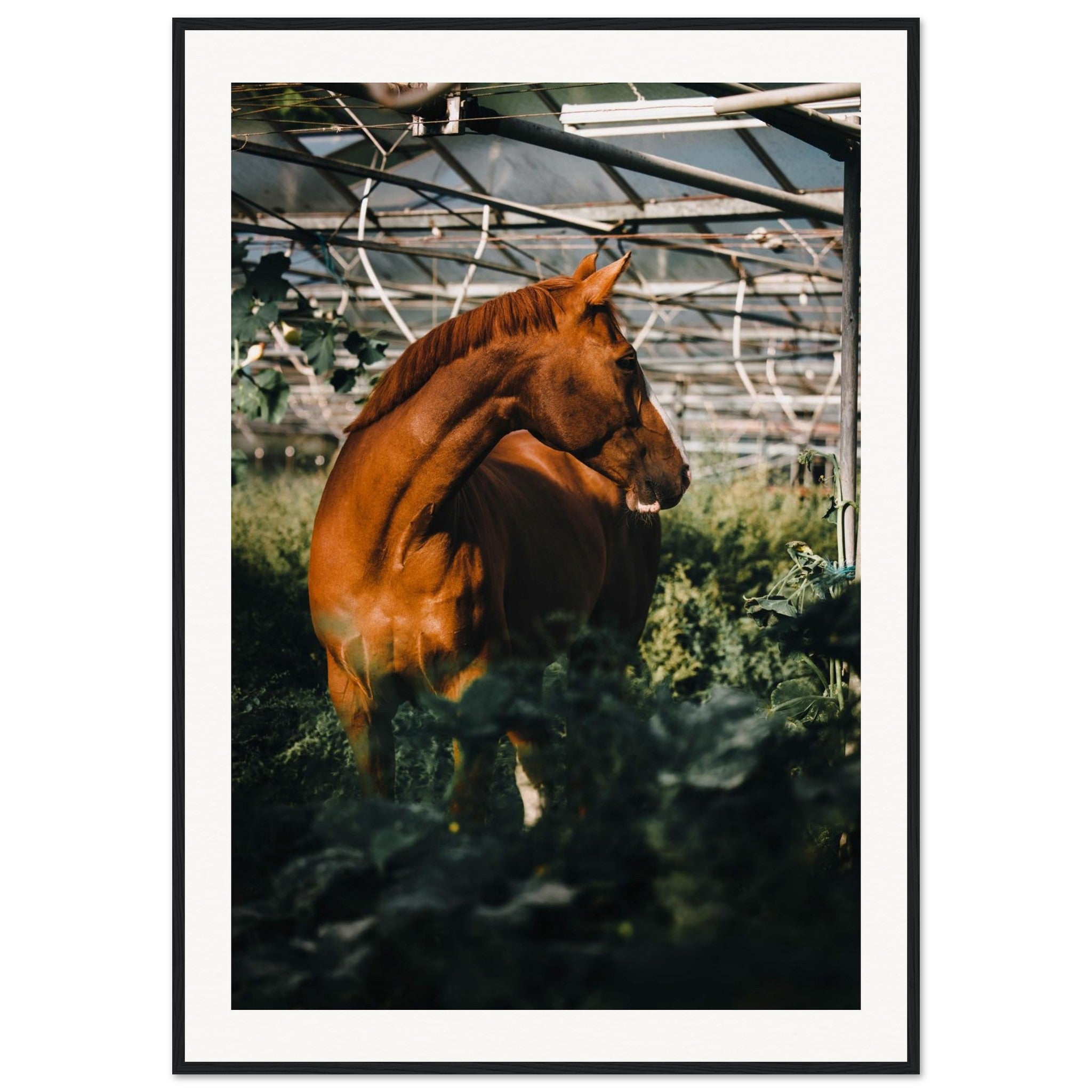 7157a752-2516-4c04-9179-c5c3b37f29e8