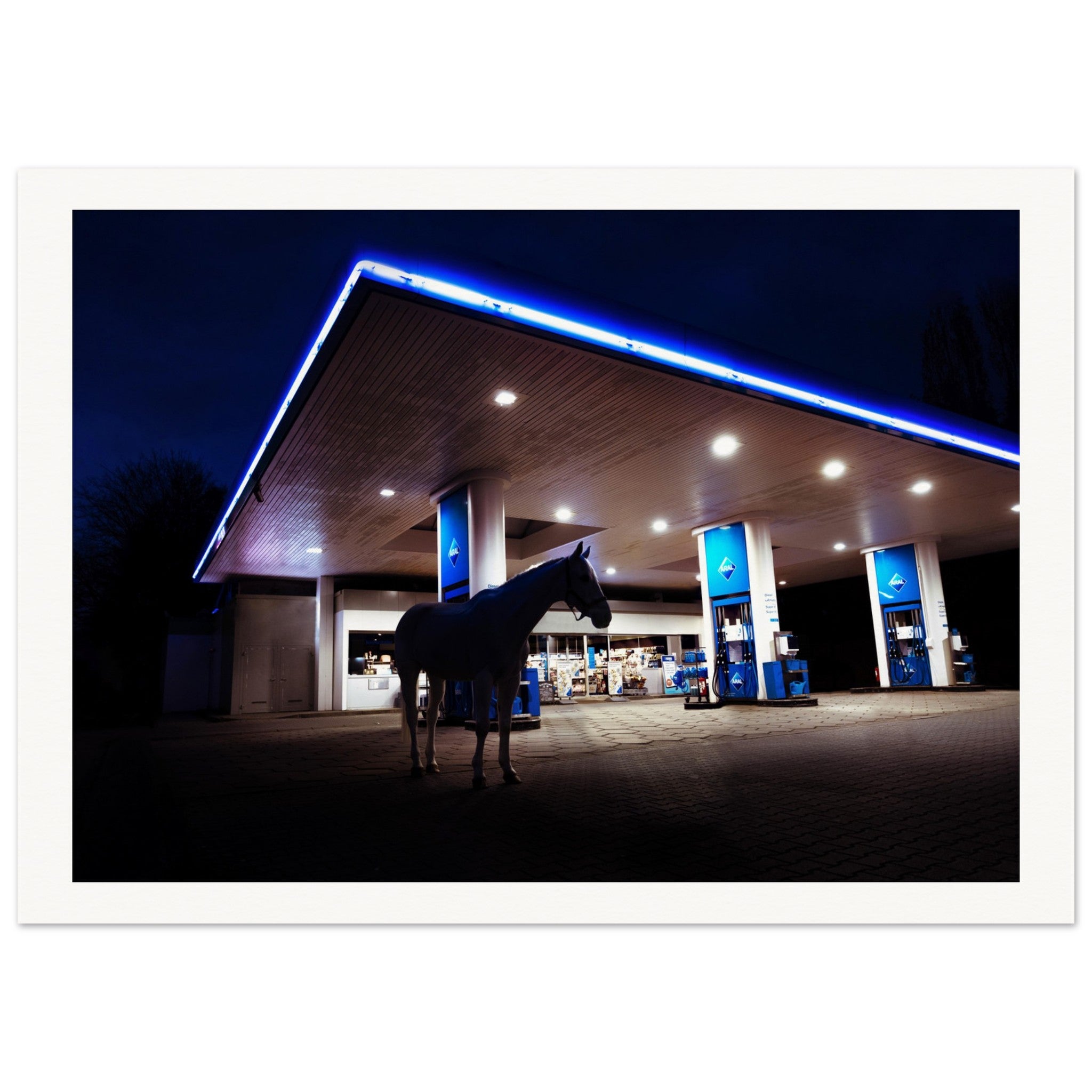 71a54d06-a9c7-405c-a57e-93a9a18da543