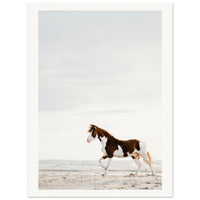 71de0a02-e62e-42b1-951c-9022517db09a