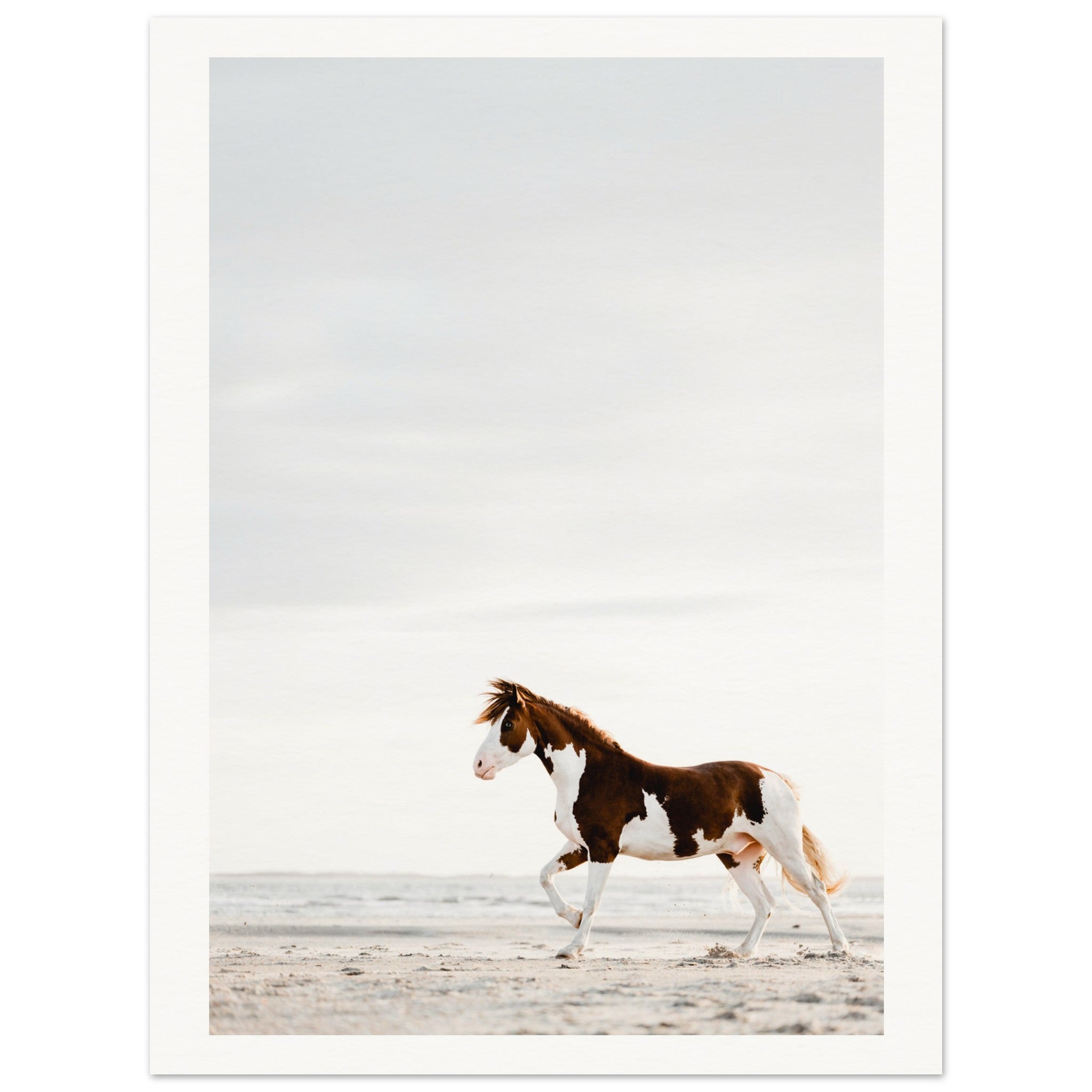 71de0a02-e62e-42b1-951c-9022517db09a