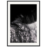 723e3227-f0a6-4672-bb11-2c6aed5f9503