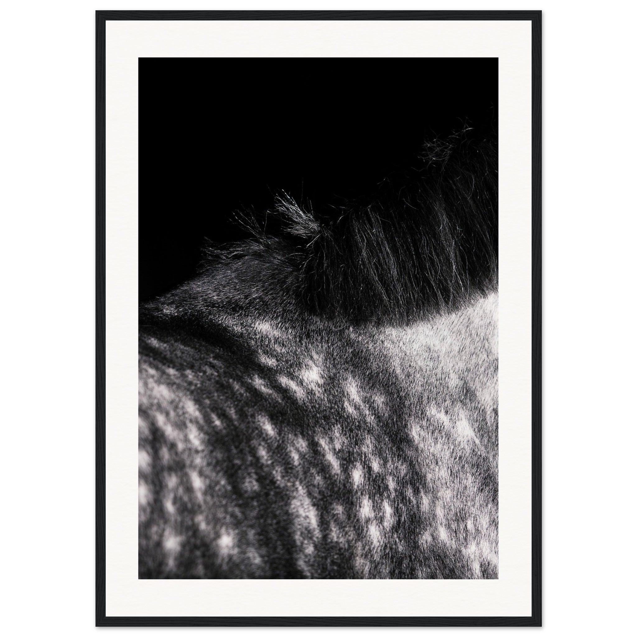 723e3227-f0a6-4672-bb11-2c6aed5f9503