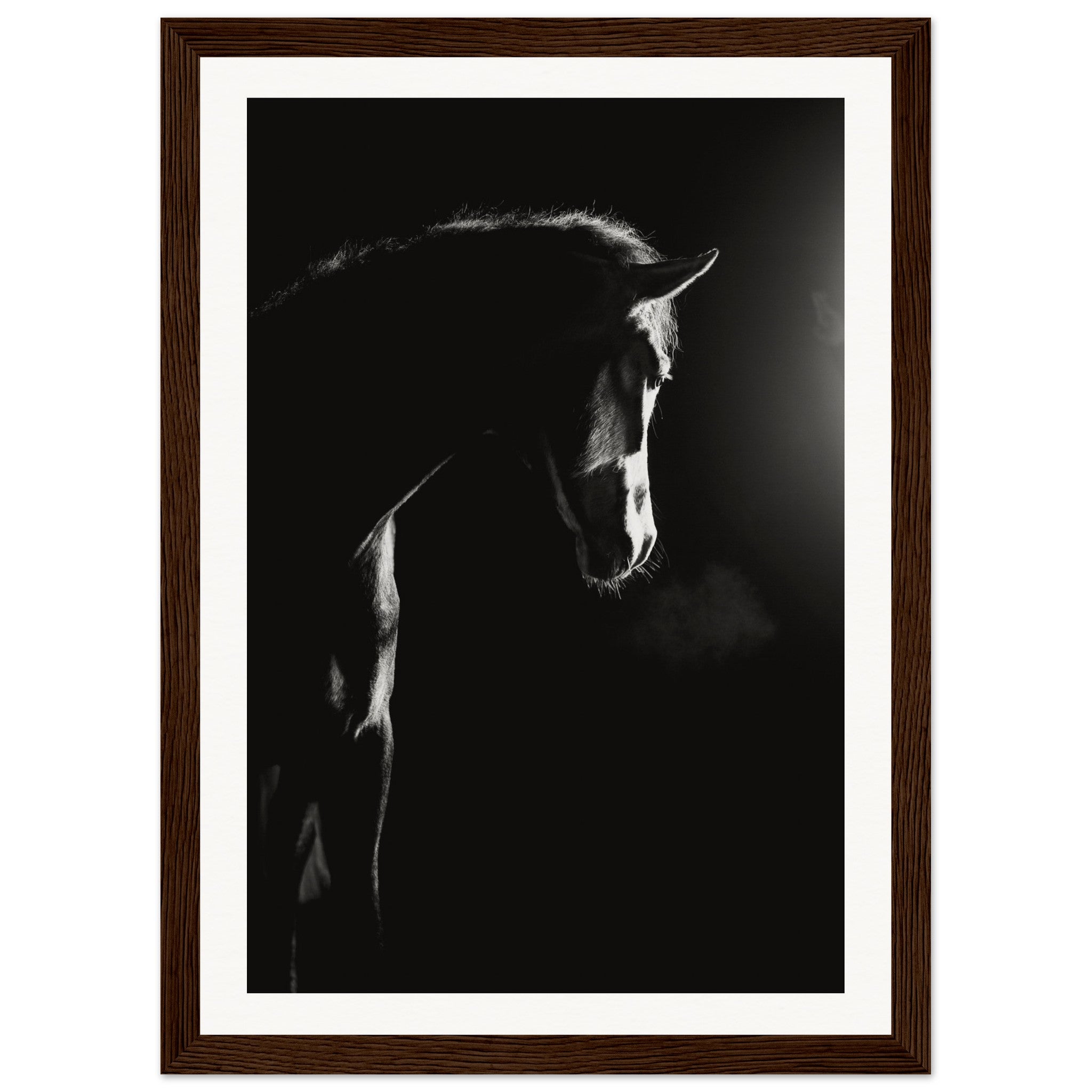 72491a0b-21ad-4318-9b9e-77ef4becf789