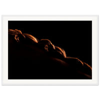 729e84ee-e3bd-41da-9fd3-0c1651c7c4db