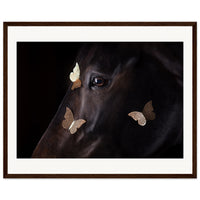 72af7820-458f-4f19-8f96-4299228dcf26