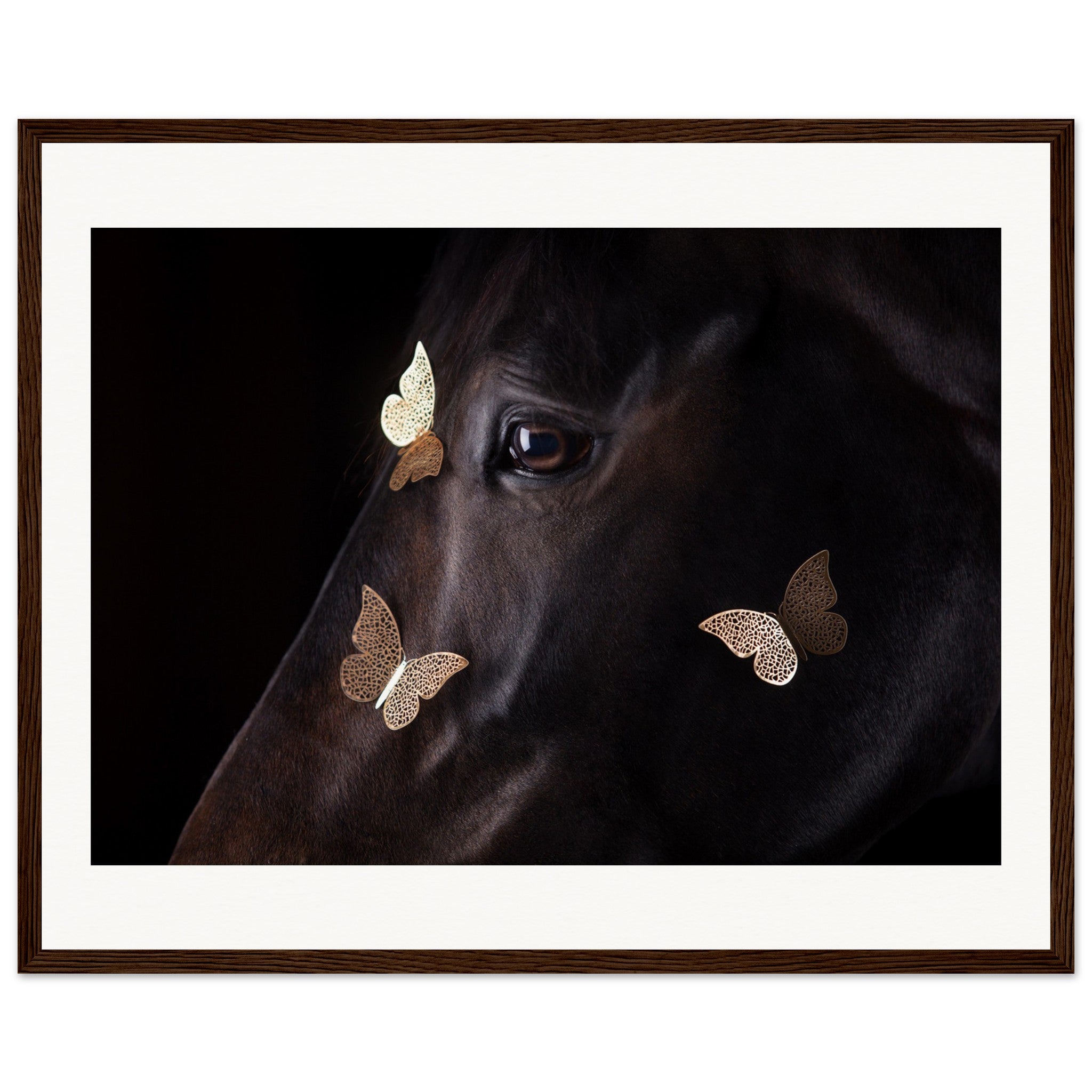 72af7820-458f-4f19-8f96-4299228dcf26