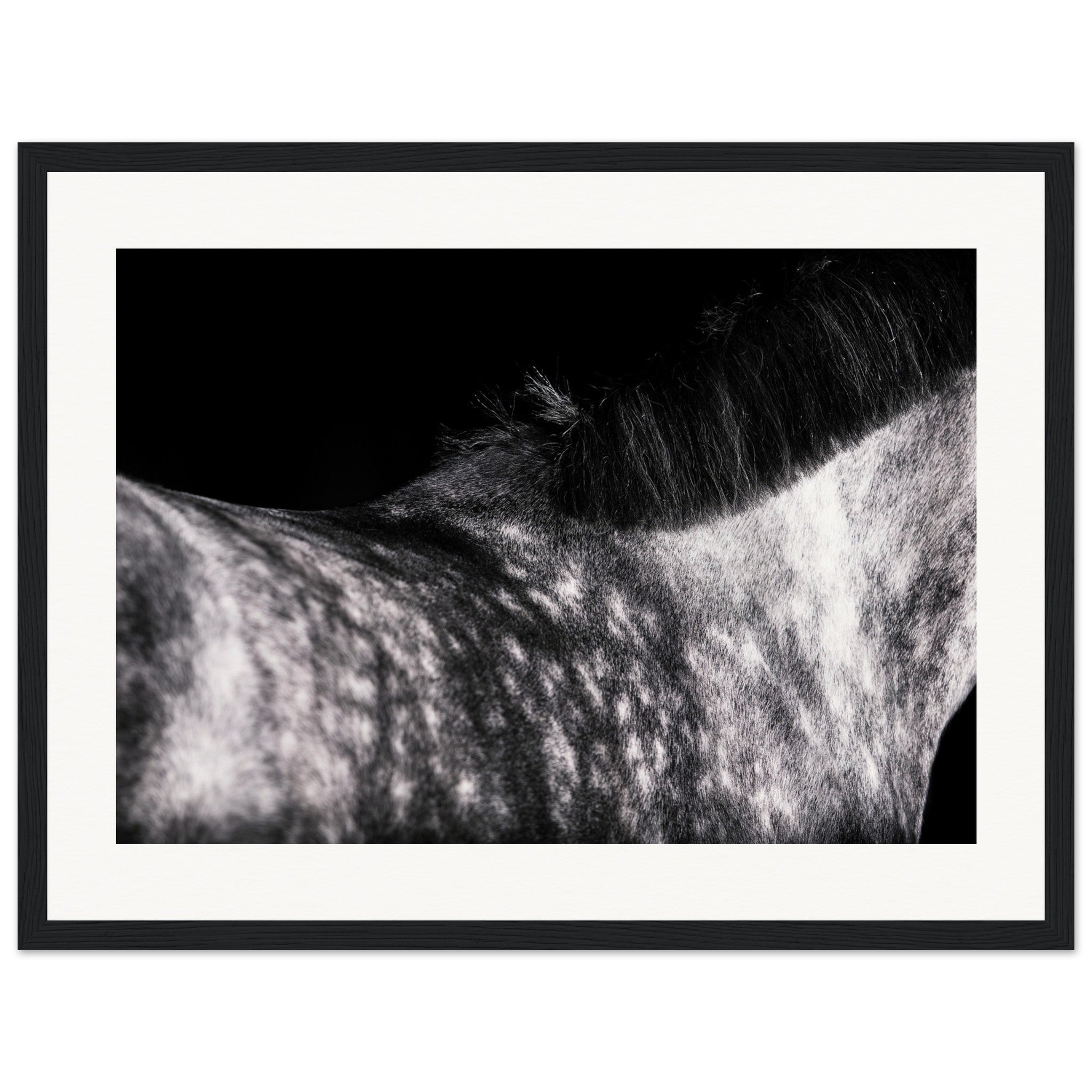 72d08a0c-21b2-4477-8dca-7dd8f5e13215