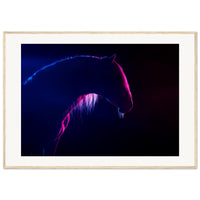 72dc346e-2952-4dec-9f51-556b31167366